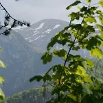 Ubocz Villa Zakopane