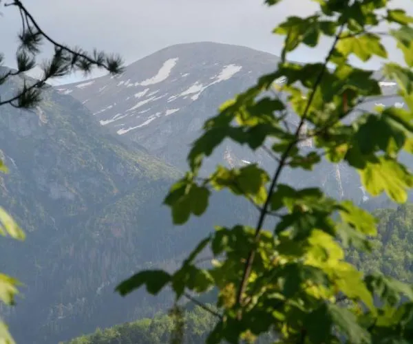 Ubocz Villa Zakopane