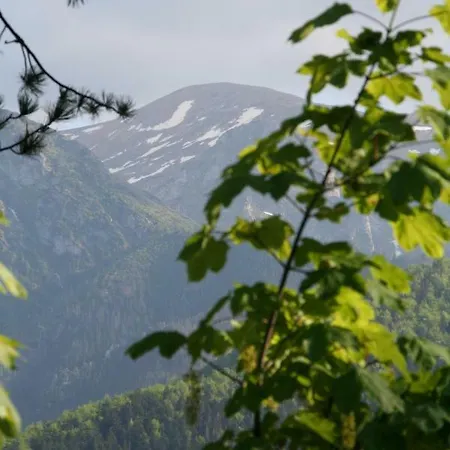Ubocz Villa Zakopane